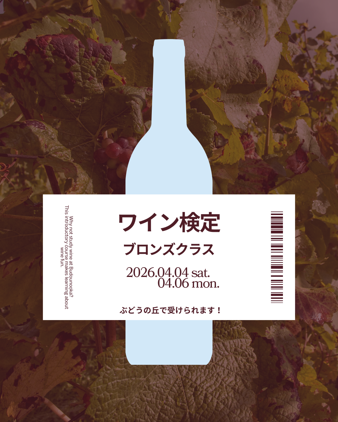 ワイン検定イメージ