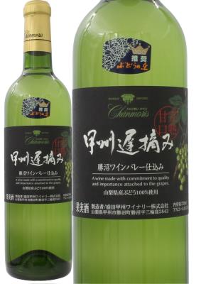 苔オブジェ